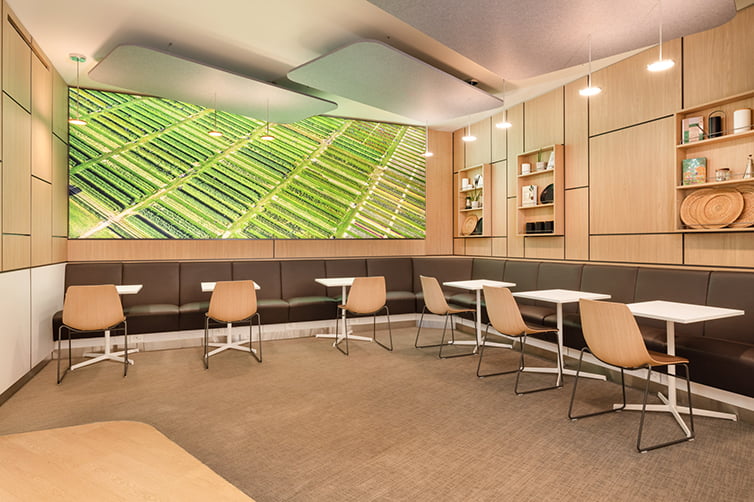 Master Oak in Lufthansa lounge Newark Airport